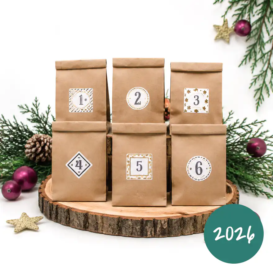 LIONSLIKE Katzen Adventskalender 2026 - 6-teilig
